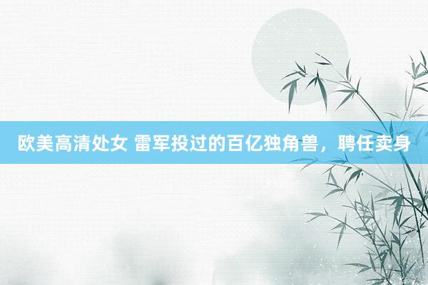 欧美高清处女 雷军投过的百亿独角兽，聘任卖身