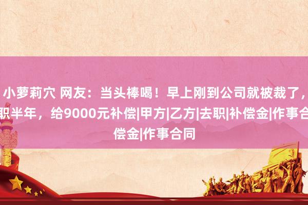 小萝莉穴 网友：当头棒喝！早上刚到公司就被裁了，入职半年，给9000元补偿|甲方|乙方|去职|补偿金|作事合同
