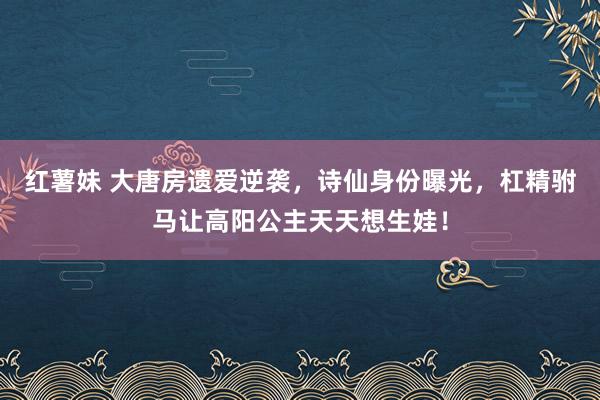 红薯妹 大唐房遗爱逆袭，诗仙身份曝光，杠精驸马让高阳公主天天想生娃！