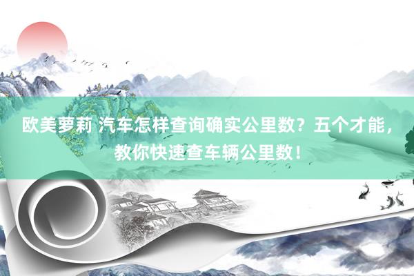 欧美萝莉 汽车怎样查询确实公里数？五个才能，教你快速查车辆公里数！