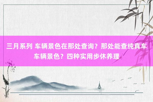 三月系列 车辆景色在那处查询？那处能查纯真车车辆景色？四种实用步休养理