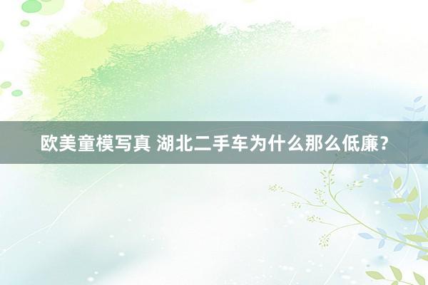 欧美童模写真 湖北二手车为什么那么低廉？