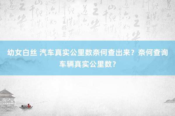幼女白丝 汽车真实公里数奈何查出来？奈何查询车辆真实公里数？