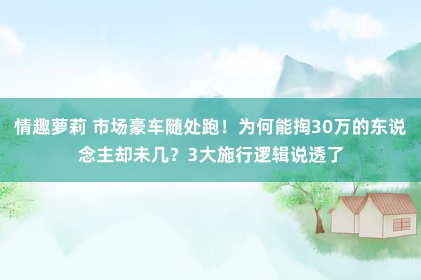 情趣萝莉 市场豪车随处跑！为何能掏30万的东说念主却未几？3大施行逻辑说透了