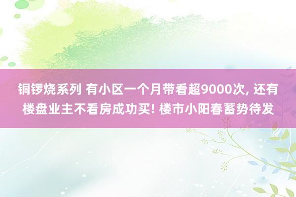 铜锣烧系列 有小区一个月带看超9000次, 还有楼盘业主不看房成功买! 楼市小阳春蓄势待发