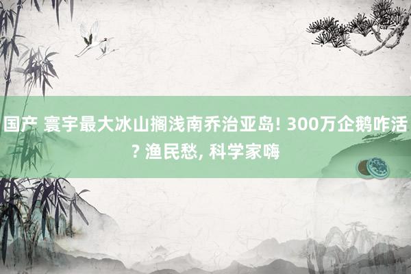 国产 寰宇最大冰山搁浅南乔治亚岛! 300万企鹅咋活? 渔民愁, 科学家嗨