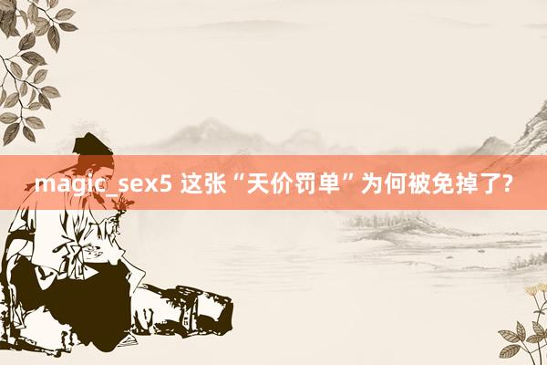 magic_sex5 这张“天价罚单”为何被免掉了?