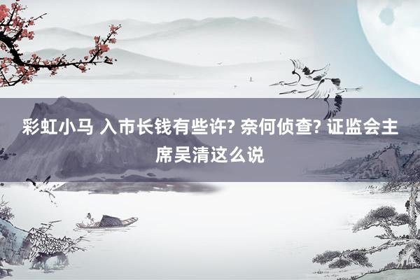 彩虹小马 入市长钱有些许? 奈何侦查? 证监会主席吴清这么说