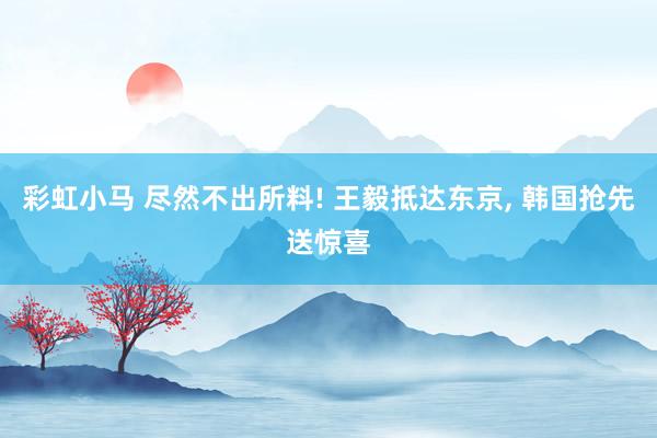 彩虹小马 尽然不出所料! 王毅抵达东京, 韩国抢先送惊喜