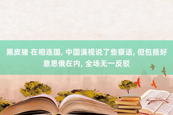 黑皮猪 在相连国, 中国漠视说了些狠话, 但包括好意思俄在内, 全场无一反驳