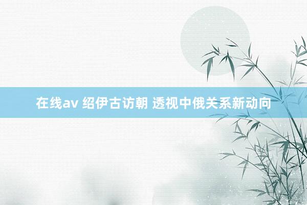 在线av 绍伊古访朝 透视中俄关系新动向
