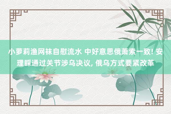 小萝莉渔网袜自慰流水 中好意思俄萧索一致! 安理睬通过关节涉乌决议, 俄乌方式要紧改革