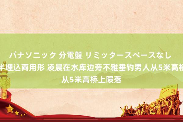 パナソニック 分電盤 リミッタースペースなし 露出・半埋込両用形 凌晨在水库边旁不雅垂钓男人从5米高桥上陨落
