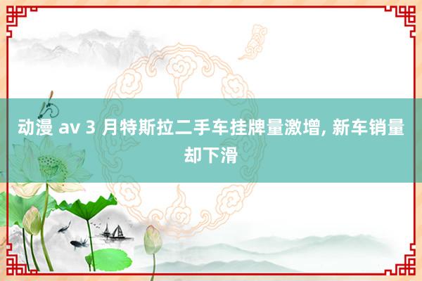 动漫 av 3 月特斯拉二手车挂牌量激增, 新车销量却下滑