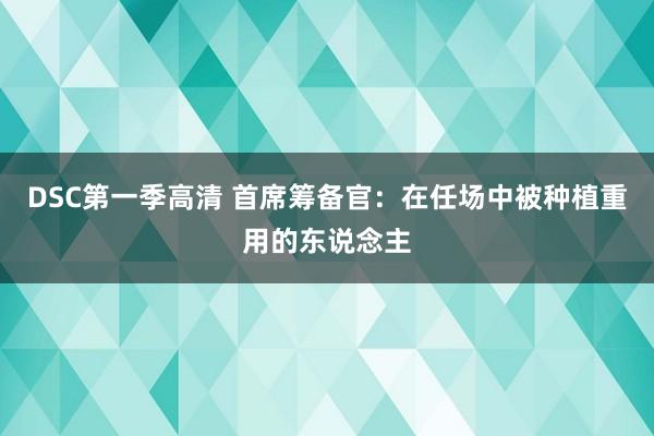 DSC第一季高清 首席筹备官:在任场中被种植重用的东说念主