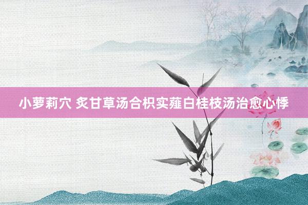小萝莉穴 炙甘草汤合枳实薤白桂枝汤治愈心悸