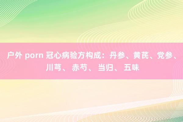 户外 porn 冠心病验方构成：丹参、黄芪、党参、 川芎、 赤芍、 当归、 五味